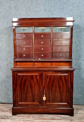 Vintage Napoleon III Cabinet in Mahogany-MWB-1771077