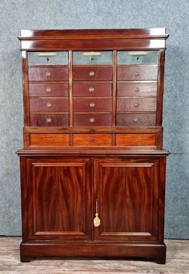 Vintage Napoleon III Cabinet in Mahogany-MWB-1771077