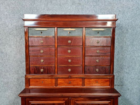 Vintage Napoleon III Cabinet in Mahogany-MWB-1771077