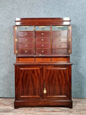 Vintage Napoleon III Cabinet in Mahogany-MWB-1771077