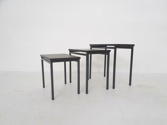 Vintage Nesting Tables in the Style of Pastoe, 1950s, Set of 3-ZO-1104834