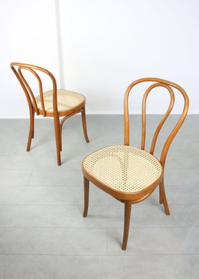 Vintage No. 218 Dining Chairs by Michael Thonet, Set of 2-HGJ-1282702