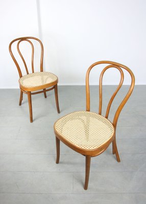 Vintage No. 218 Dining Chairs by Michael Thonet, Set of 2-HGJ-1282702