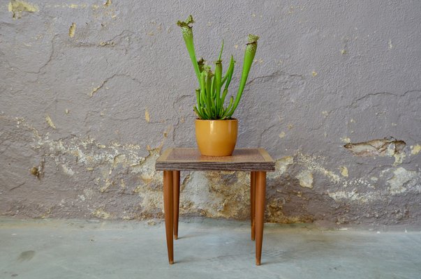 Vintage Plant Stand in Wood, 1960s-AIU-1372911