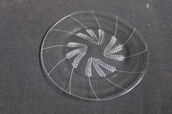 Vintage Plates by Lalique, France, 1950s, Set of 12-HFR-1897372