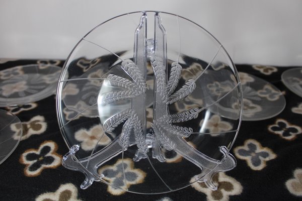 Vintage Plates by Lalique, France, 1950s, Set of 12-HFR-1897372