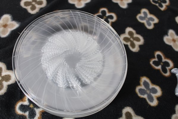 Vintage Plates by Lalique, France, 1950s, Set of 12-HFR-1897372