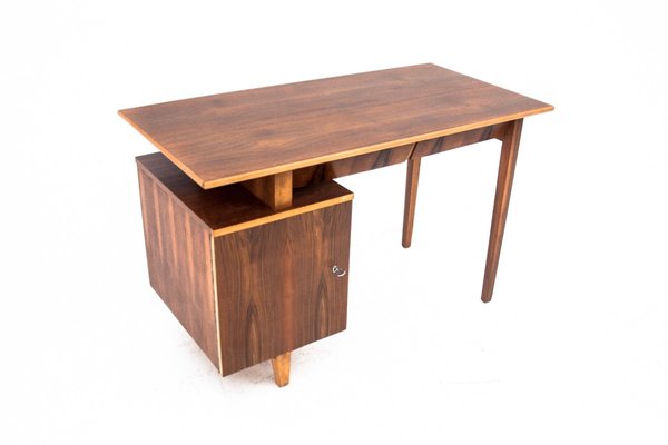 Vintage Polish Desk by M. Puchała, 1960s-BXB-1255518