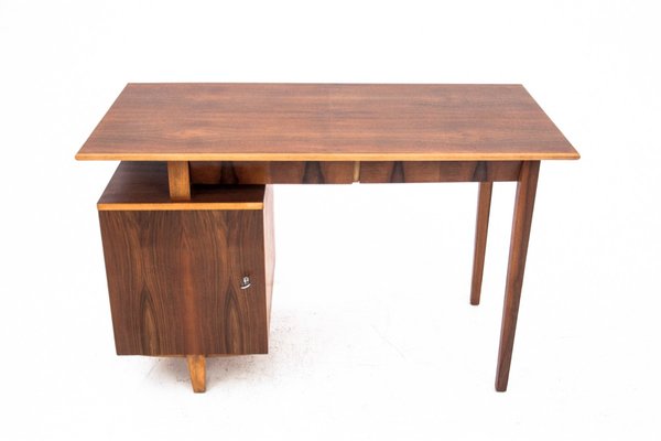 Vintage Polish Desk by M. Puchała, 1960s-BXB-1255518