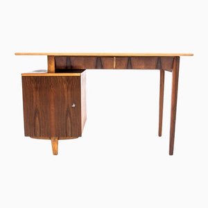 Vintage Polish Desk by M. Puchała, 1960s-BXB-1255518