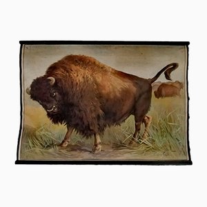 Vintage Poster of Buffalo-ALG-775394