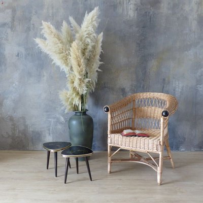 Vintage Rattan Armchair, 1960s-WK-739911