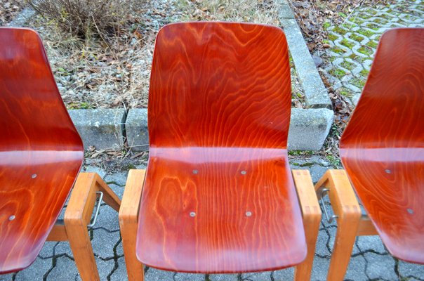 Vintage Royal Bentwood & Plywood Stacking Chairs, 1960s, Set of 4-UF-1383553