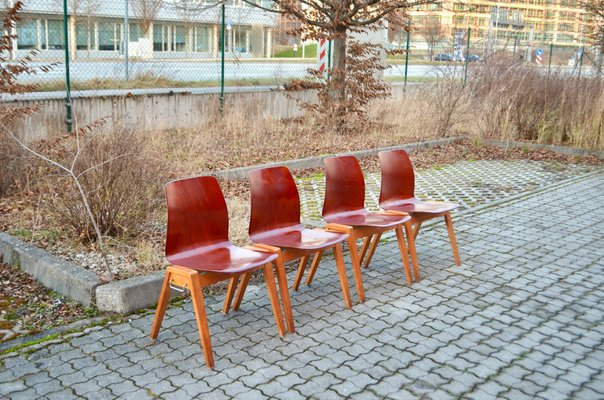 Vintage Royal Bentwood & Plywood Stacking Chairs, 1960s, Set of 4-UF-1383553