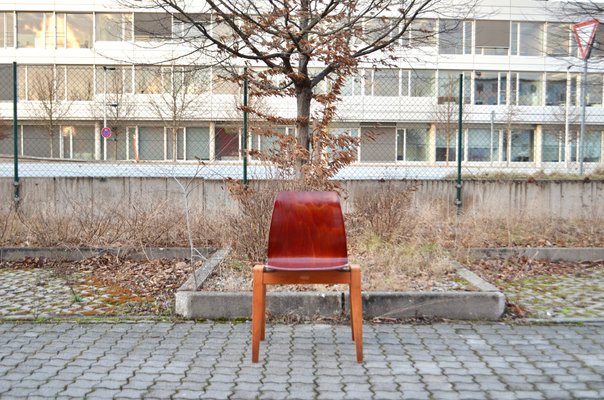 Vintage Royal Bentwood & Plywood Stacking Chairs, 1960s, Set of 4-UF-1383553