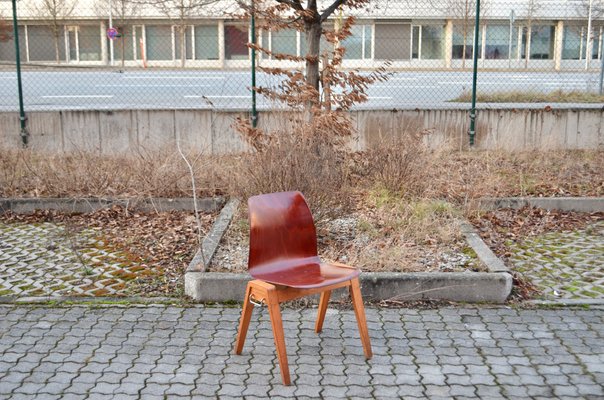 Vintage Royal Bentwood & Plywood Stacking Chairs, 1960s, Set of 4-UF-1383553