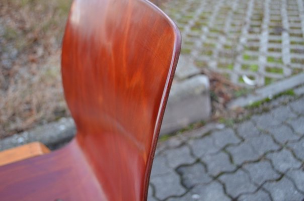 Vintage Royal Bentwood & Plywood Stacking Chairs, 1960s, Set of 4-UF-1383553