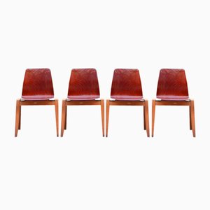 Vintage Royal Bentwood & Plywood Stacking Chairs, 1960s, Set of 4-UF-1383553