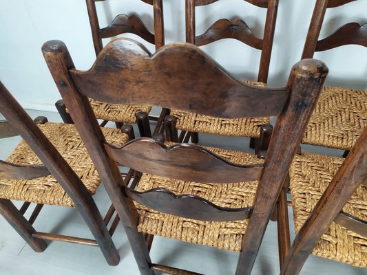 Vintage Rustic Straw Chairs, 1950s, Set of 6-EAD-2034476