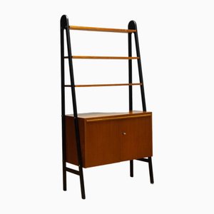 Vintage Shelfs in Teak with Black Lacquered Stands, 1950s-JE-2017294