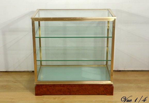 Vintage Showcase in Glass and Brass, 1950s-RVK-2032291