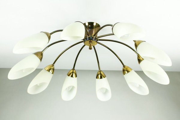 Vintage Spider Sputnik 10-Light Ceiling Light in Brass & Glass, 1950s-FUP-971536