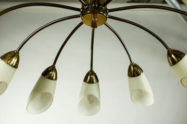 Vintage Spider Sputnik 10-Light Ceiling Light in Brass & Glass, 1950s-FUP-971536