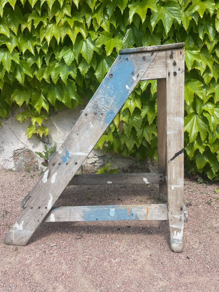 Vintage Step Ladder, 1950s