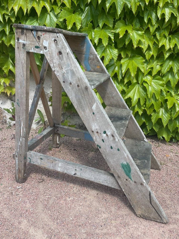 Vintage Step Ladder, 1950s