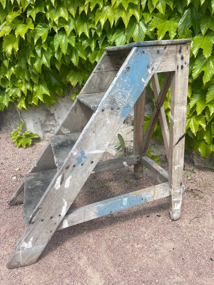 Vintage Step Ladder, 1950s