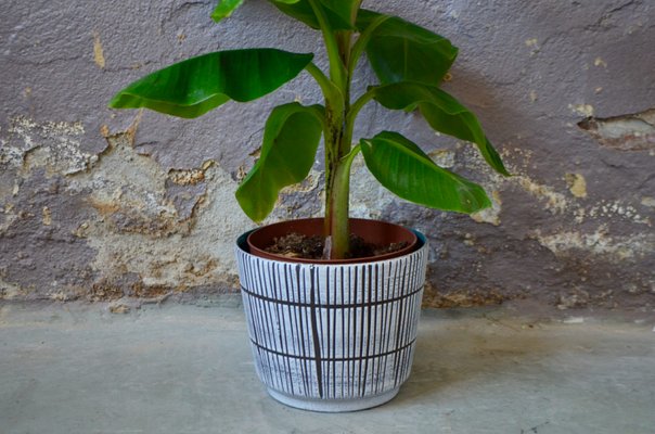 Vintage Striped Ceramic Flower Pot-AIU-2014794