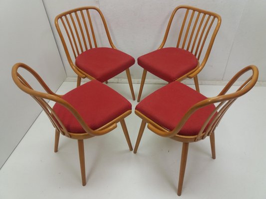 Vintage Suman Chairs & Table from Thonet, Czechoslovakia, 1960s, Set of 5-TZ-1225816