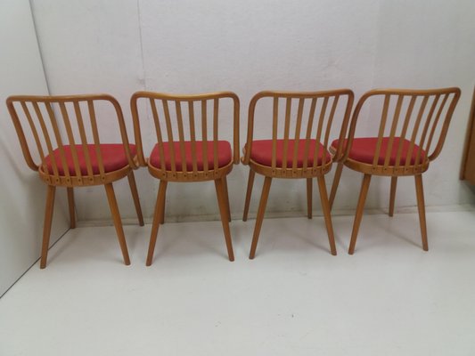 Vintage Suman Chairs & Table from Thonet, Czechoslovakia, 1960s, Set of 5-TZ-1225816