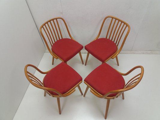 Vintage Suman Chairs & Table from Thonet, Czechoslovakia, 1960s, Set of 5-TZ-1225816