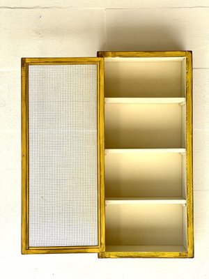 Vintage Wall Unit with Meshwire-ALG-1706780