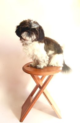 Vintage Wooden Bankotte Stool from Butzke, 1980s-HUY-783465