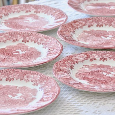 Vintage Woodland Plates in English Ironstone, 1970s, Set of 6-SHG-2027176