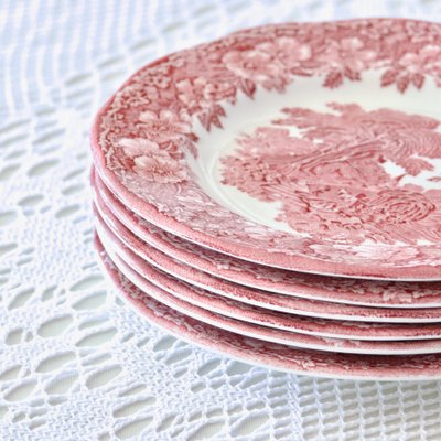 Vintage Woodland Plates in English Ironstone, 1970s, Set of 6-SHG-2027176