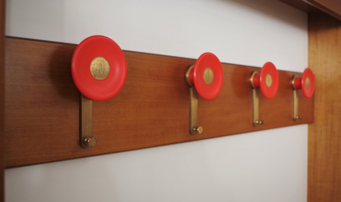 Wall Coat Rack, 1970s-KNM-884885