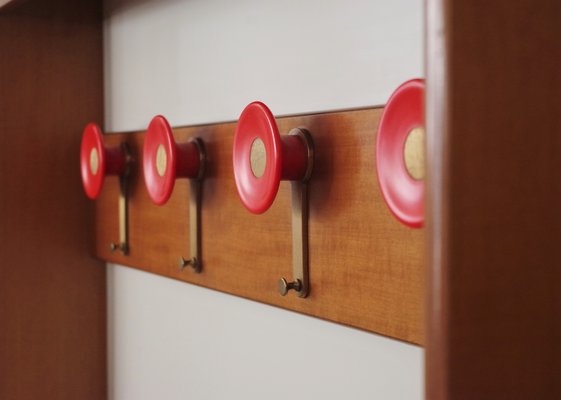 Wall Coat Rack, 1970s-KNM-884885