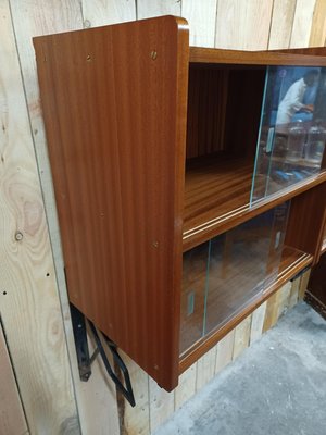 Wall Display Case, 1960s-ZQS-1450084