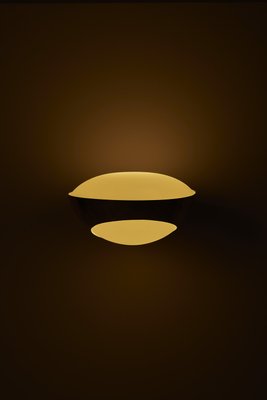 Wall Light by Max Ingrand for Fontana Arte, 1970s-QAC-2033711