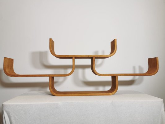 Wall Shelf attributed to Ludvik Volak-QJA-1763231