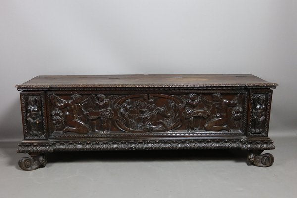 Walnut 19th Century Walnut Cassone Chest-WSV-1802270