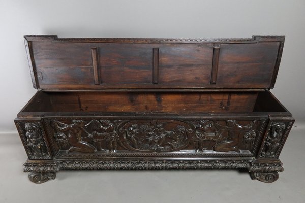 Walnut 19th Century Walnut Cassone Chest-WSV-1802270