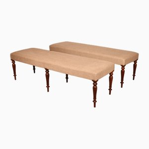 Walnut Benches, 19th Century, Set of 2-HPU-1806851