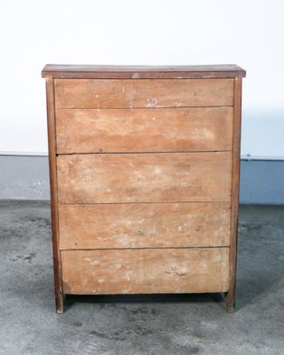 Walnut Cabinet, 1800s-OJE-1350975