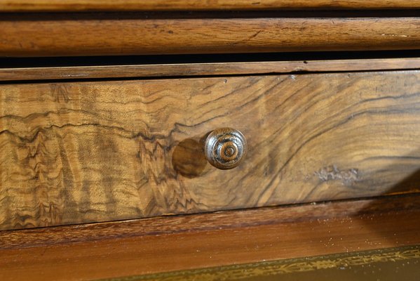 Walnut Chest of Drawers, 19th Century-RVK-1823828