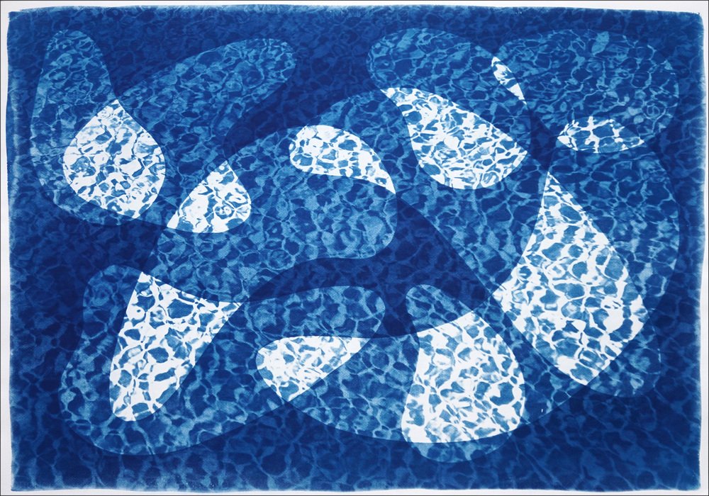 Water Reflection of Fish Under Water, 2021, Paper