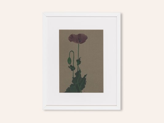 Werner Oberdörffer, Poppy, Watercolor on Paper, Framed